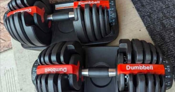 Pair of Adjustable Dumbbell Set - up to 52.5 lbs