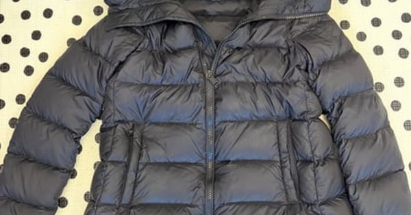 Babaton Snowbird Premium Goose Down Puffer Jacket